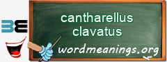 WordMeaning blackboard for cantharellus clavatus